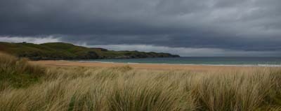 Strathy Beach
