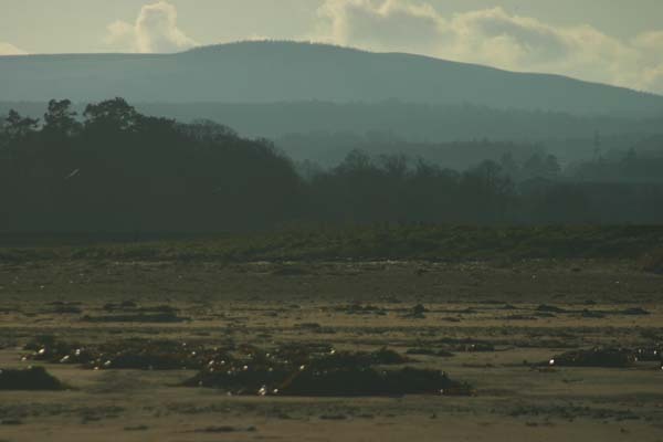 The hills beyond Dunbar
