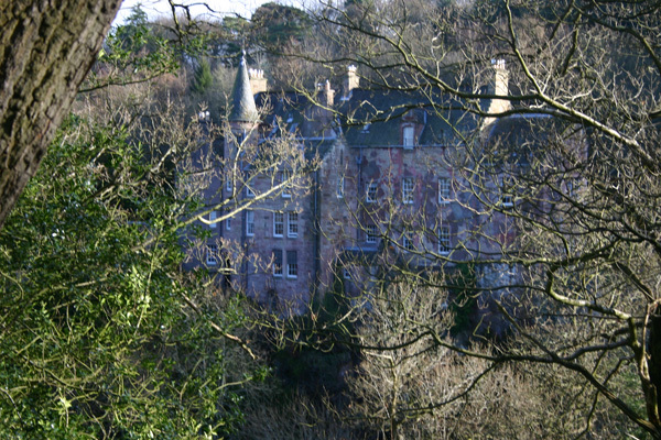 Property through trees