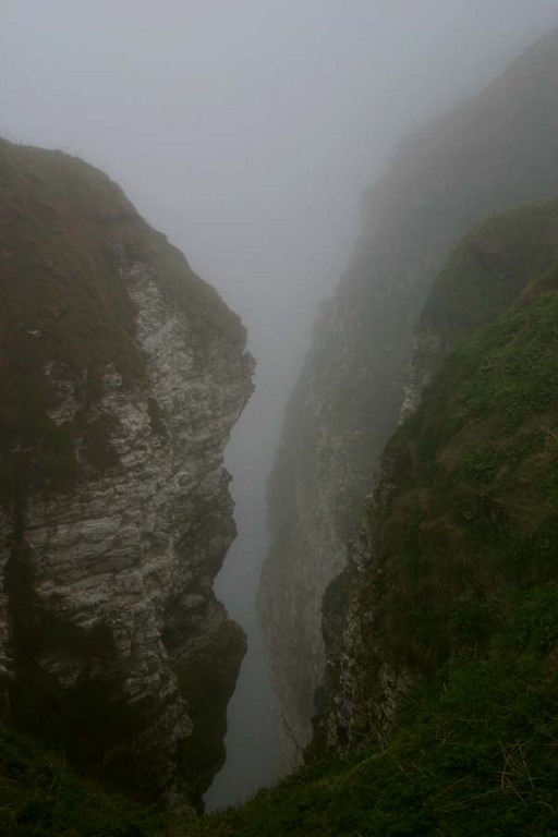 Cliffs in the fog