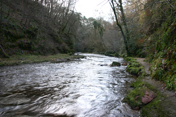 Rosslyn Glen