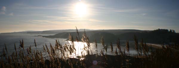View of the Bay from the cliffs